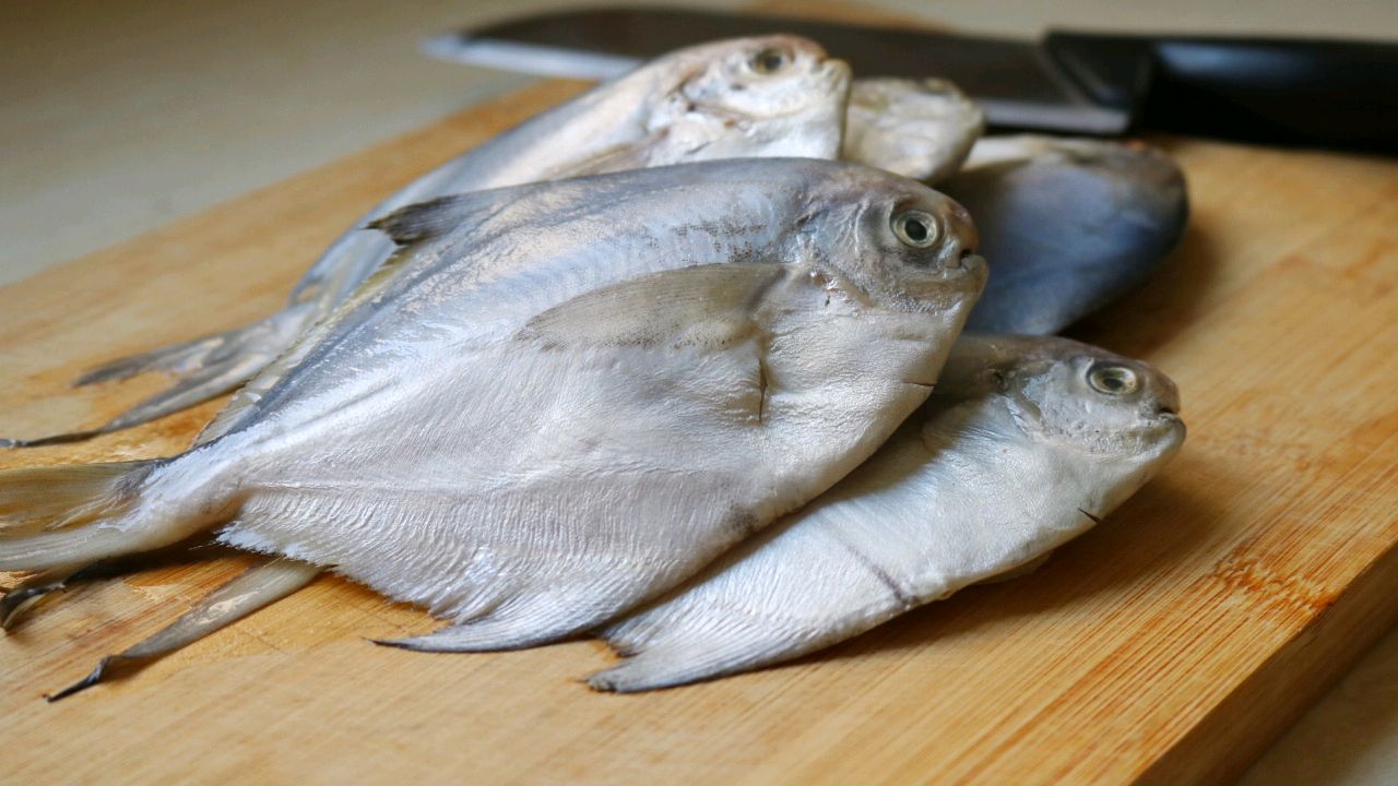 香煎鲳鱼的家常做法大全集,白鲳鱼怎样香煎外酥内嫩