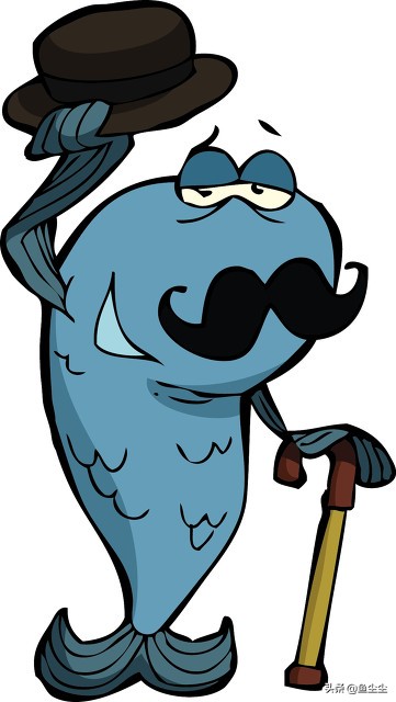 高中生住校必备物品清单,高中生必备物品