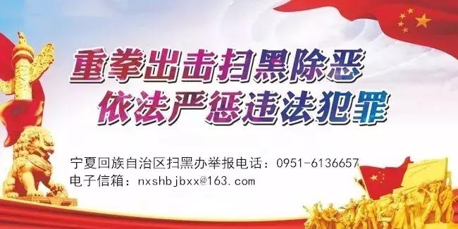 扫黑除恶宁夏在行动