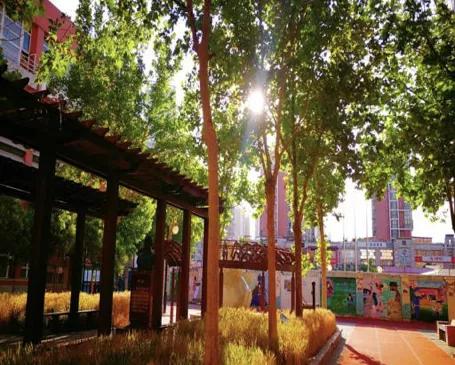 天津高级中学,天津市第二南开中学录取分数线