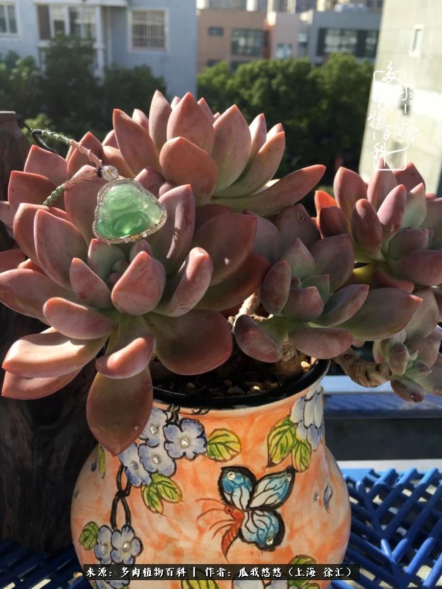 享受岁月,享受岁月静好歌曲原唱