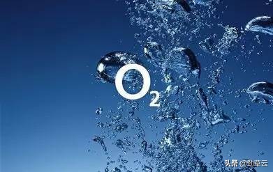 初中化学氧气的制取方法,初中化学氧气的实验室制取与性质