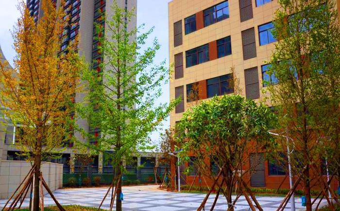 西安经开区新建学校,2018西安高新区新建学校
