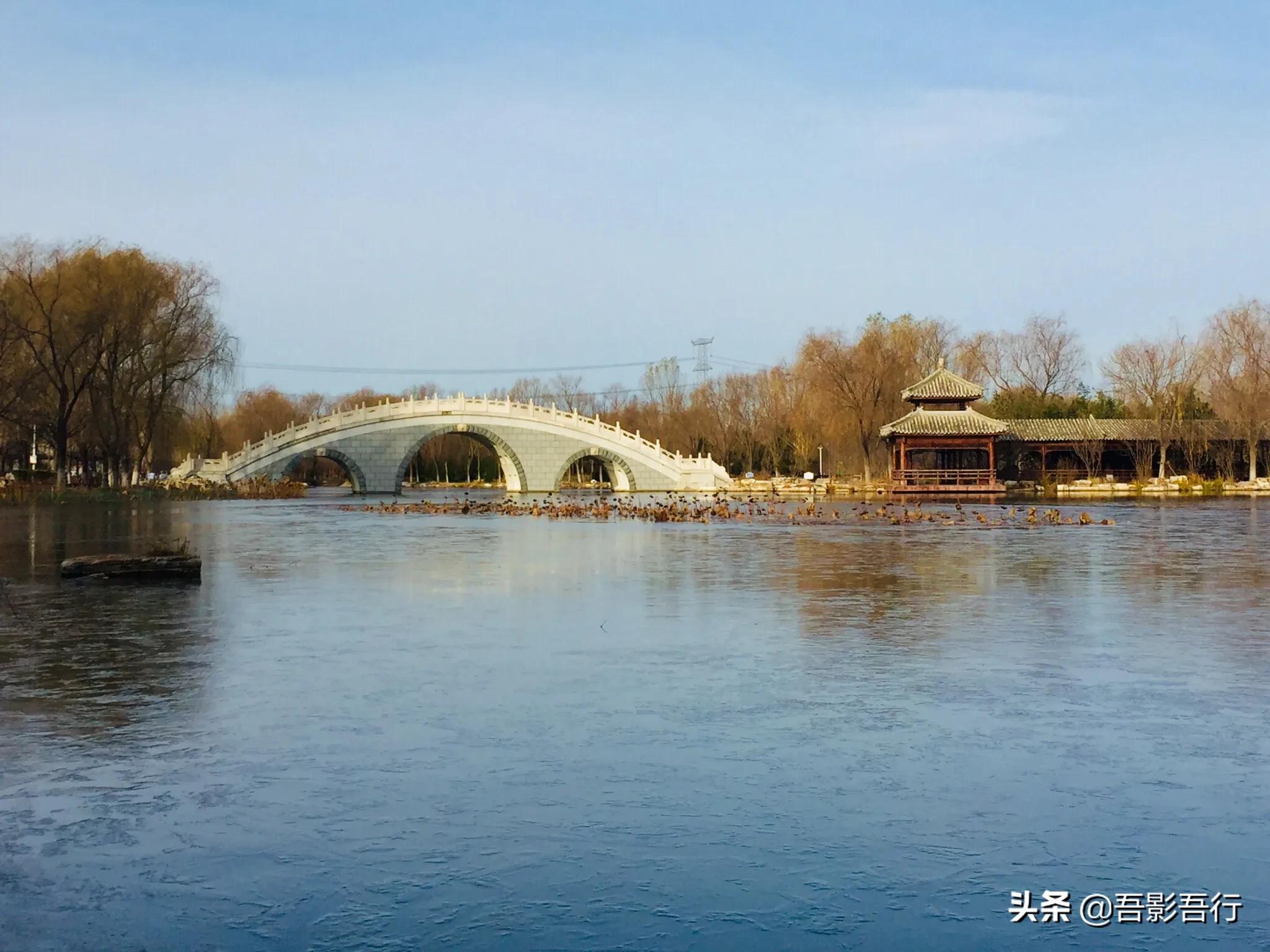 武清津北森林公园有哪些景色,天津武清森林公园开放时间表