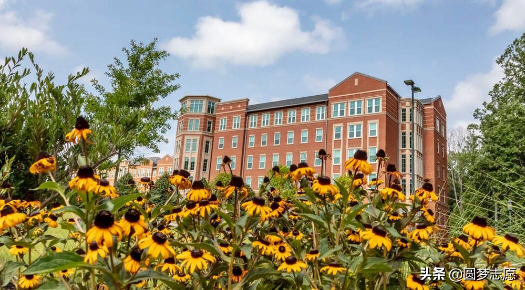 比专业志愿高几分才能避免被调剂,如何避免被调剂到不喜欢的专业