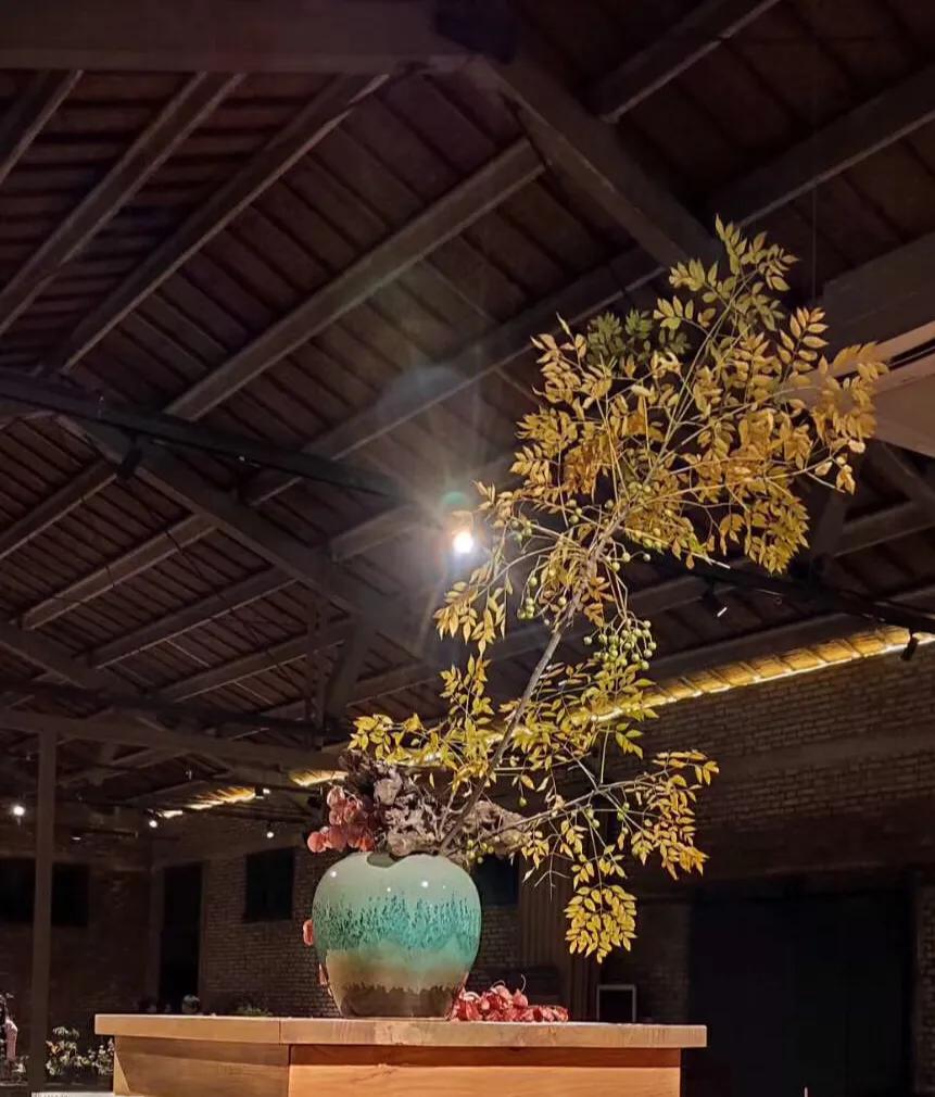 美即是正义是什么梗,美即是医用面膜吗