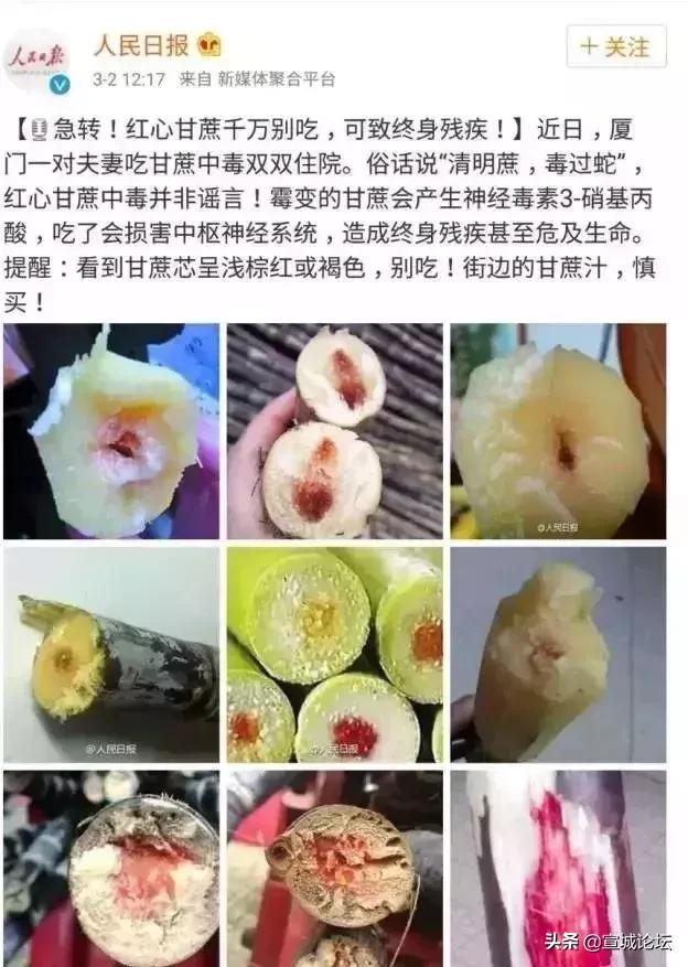 比毒蛇还毒的虫子,比毒蛇还要毒的东西