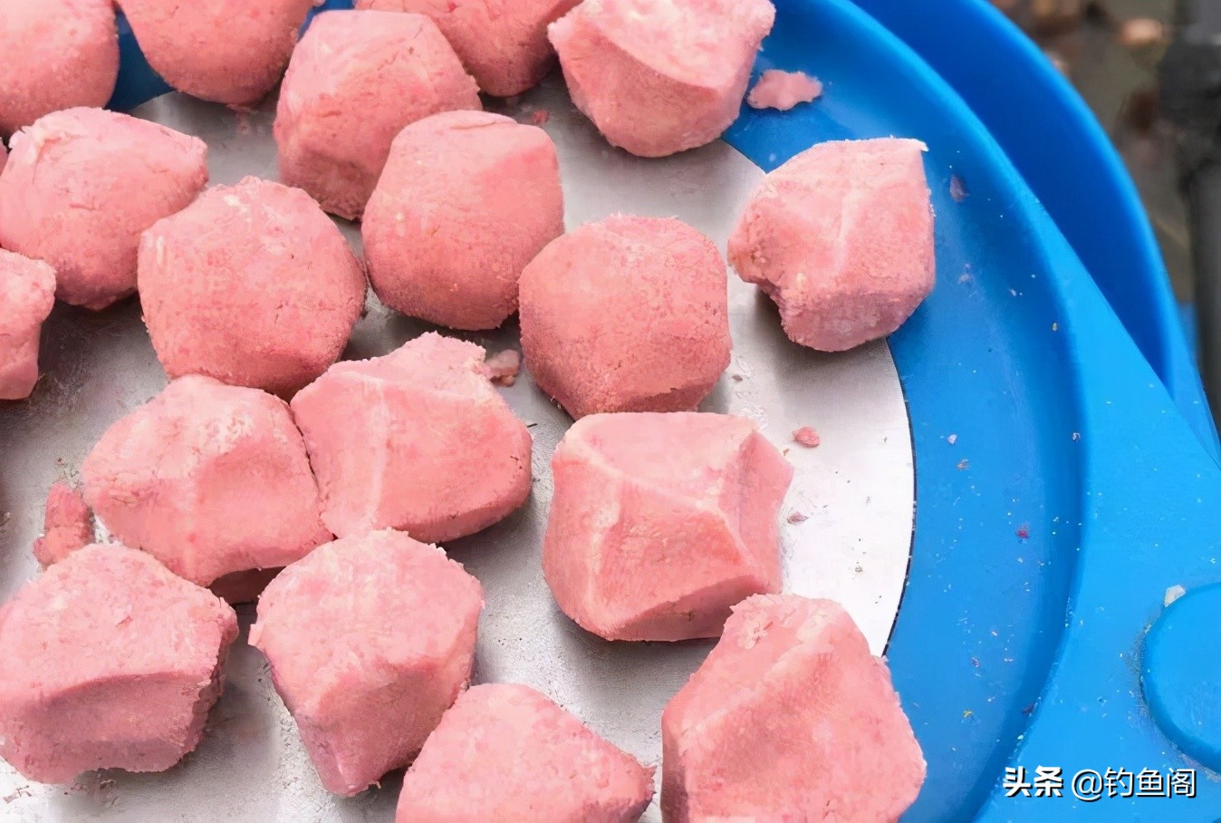 抽鲢鳙遇到白条闹窝怎么办,鲢鳙白条闹窝用大浮漂