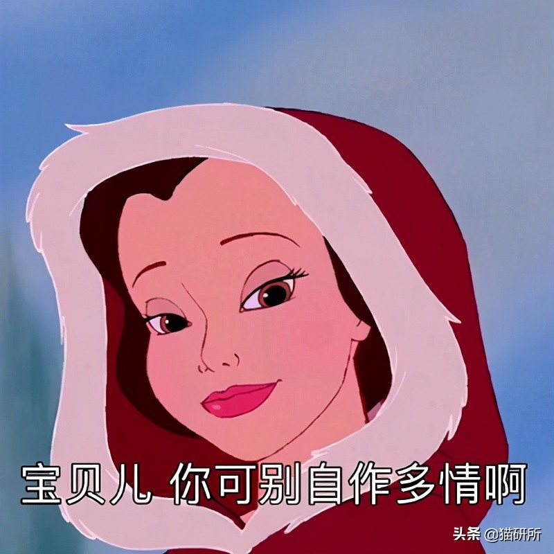 猫咪夏季好物推荐平价,猫咪防抓好物推荐