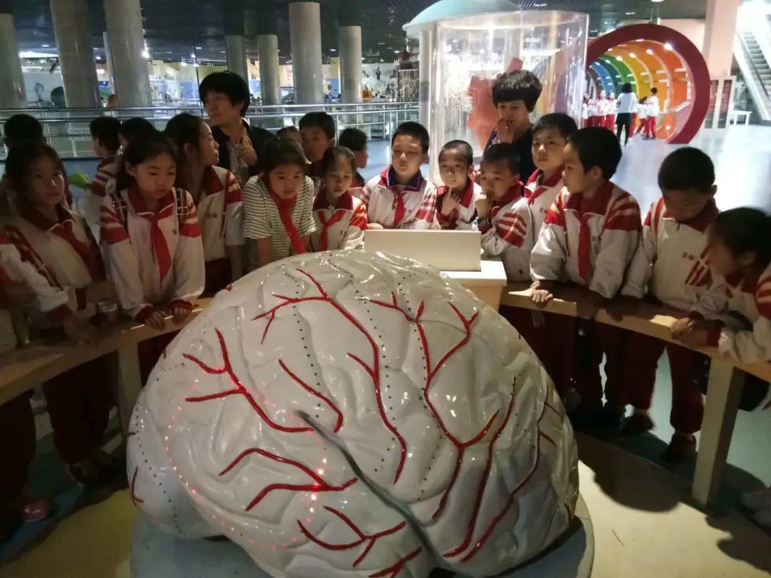 天津市滨海塘沽远洋城小学,塘沽滨海新区远洋城小学校徽