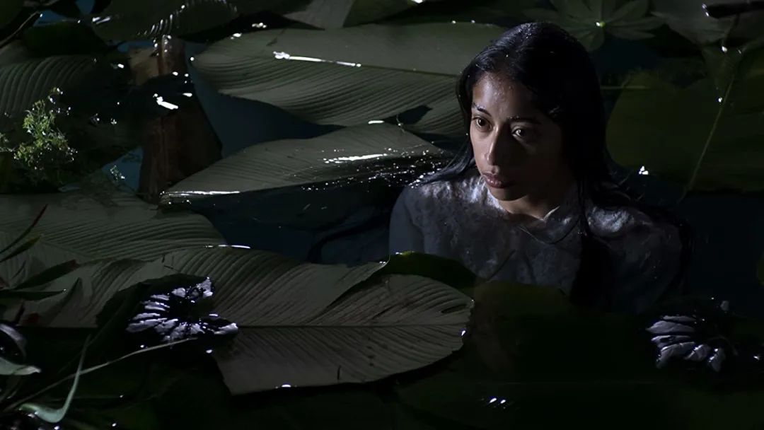 万圣节要糖果的恐怖片,万圣节前夜电影免费观看