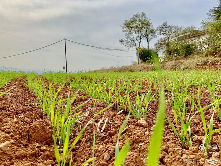 洛阳市宜阳凤凰岭射箭,宜阳县凤凰岭体育基地