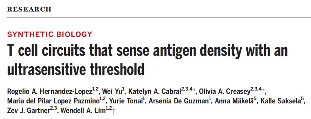 car-t疗法进军实体瘤,car-t攻克胃癌