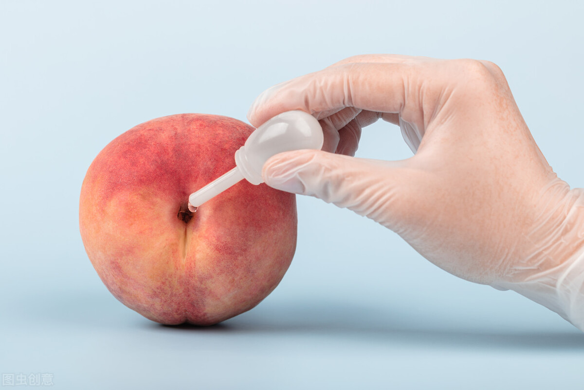 泰迪狗狗拉不出便便的解决方法,如何让泰迪幼犬不吃自己的大便