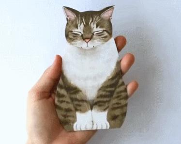 吸一口就爽到！让900万猫奴直呼过瘾的文创店，我真的服了