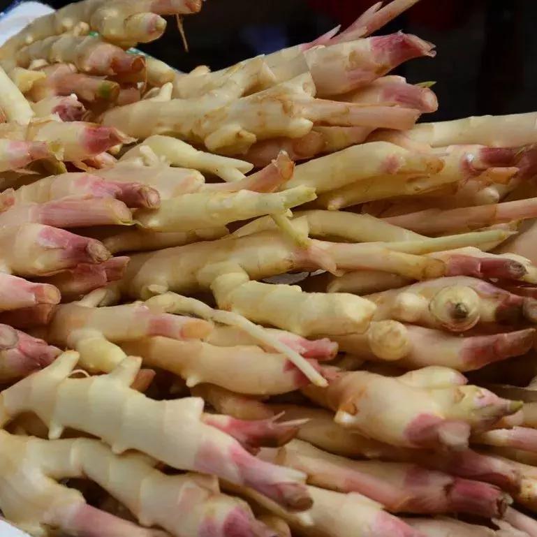 广东猪脚姜寓意,广东猪脚姜为啥又酸又甜的