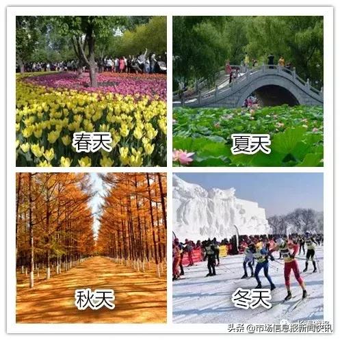 一封辞职信火遍长春,一封辞职信火遍整个日照