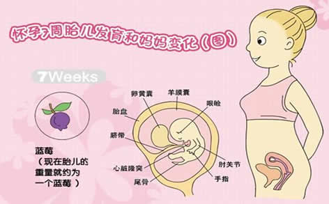 孕酮是什么有什么用,孕酮值正常范围是多少孕早期