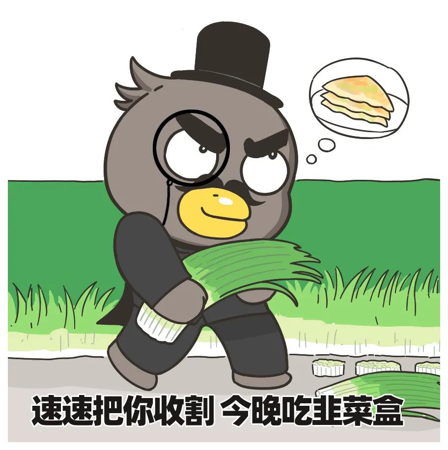 你也喜欢普洱茶吗,和你喝普洱茶的人