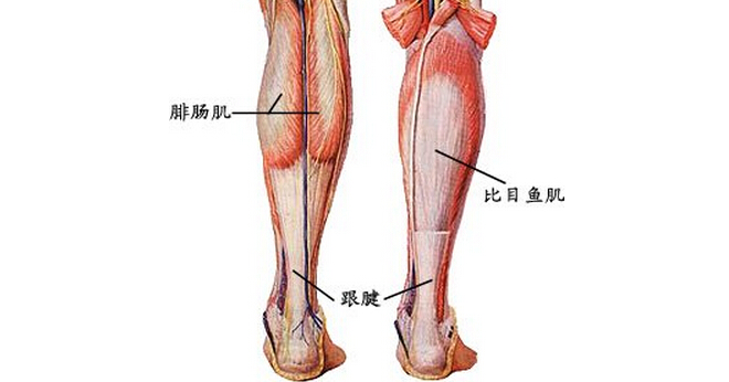 跳绳后膝盖后面的一整根筋疼,跳绳膝盖疼痛吃什么药