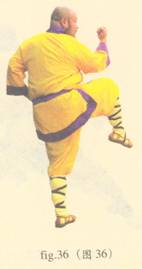 少林护心意门拳全套演示,少林拳长护心意门拳介绍