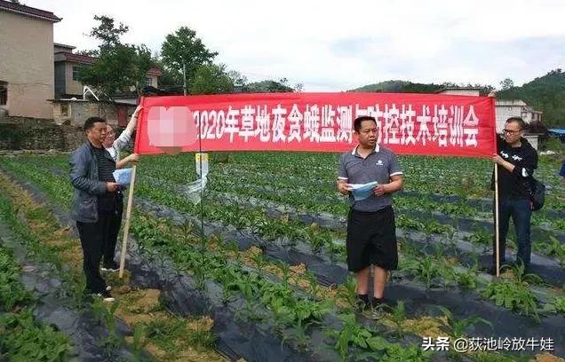 今年不想在外打工？不如试试这些行业，现在在农村都很吃香