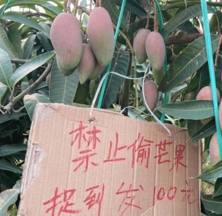 搞笑gif趣图妹子你别闹了,搞笑gif趣图妹子你这笑容太魔性了