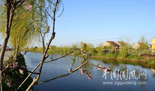 隋堤烟柳诗句,隋堤烟柳筑斜阳