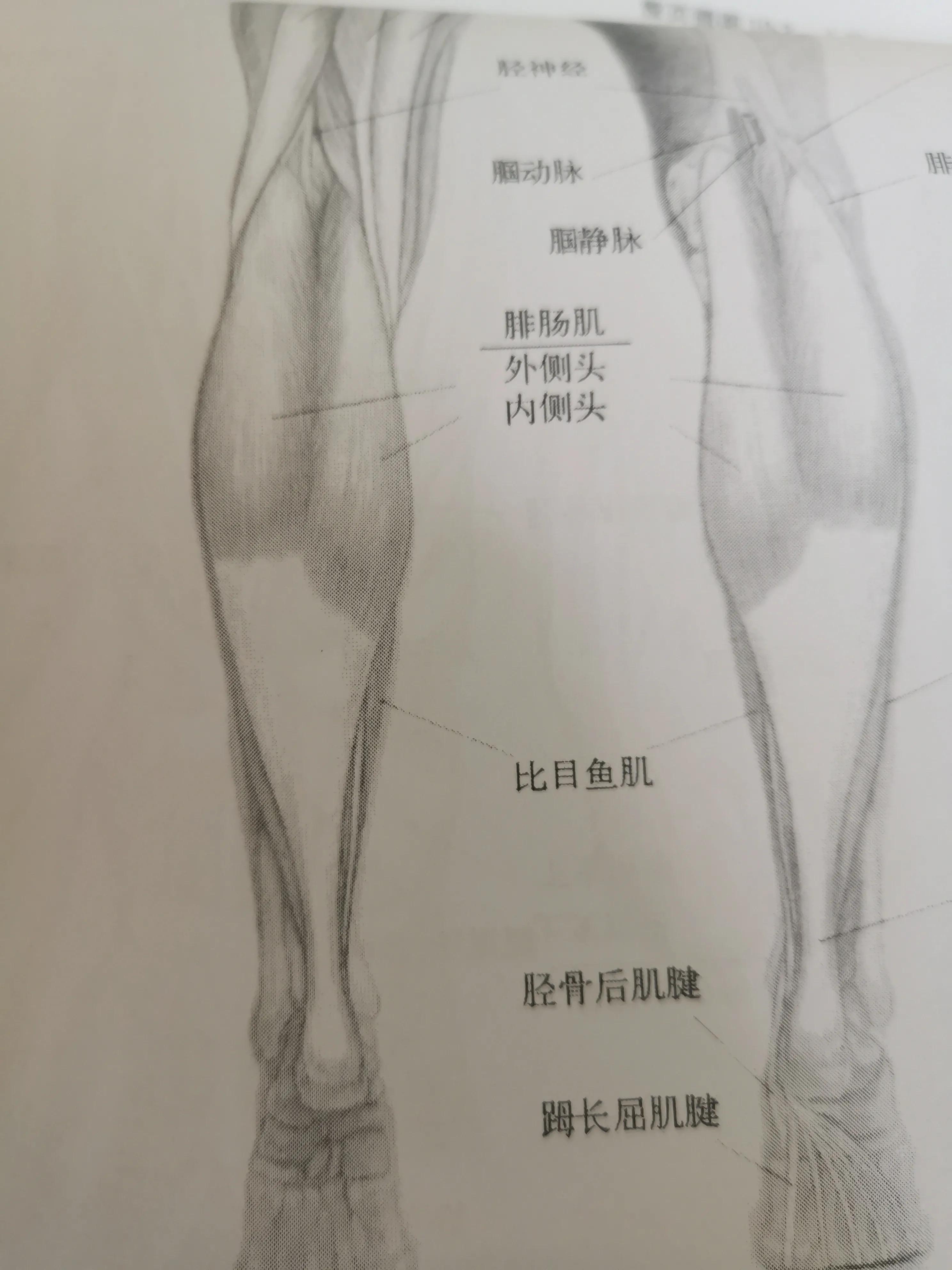 跟腱炎的自我治疗方法,跟腱炎最佳的物理疗法