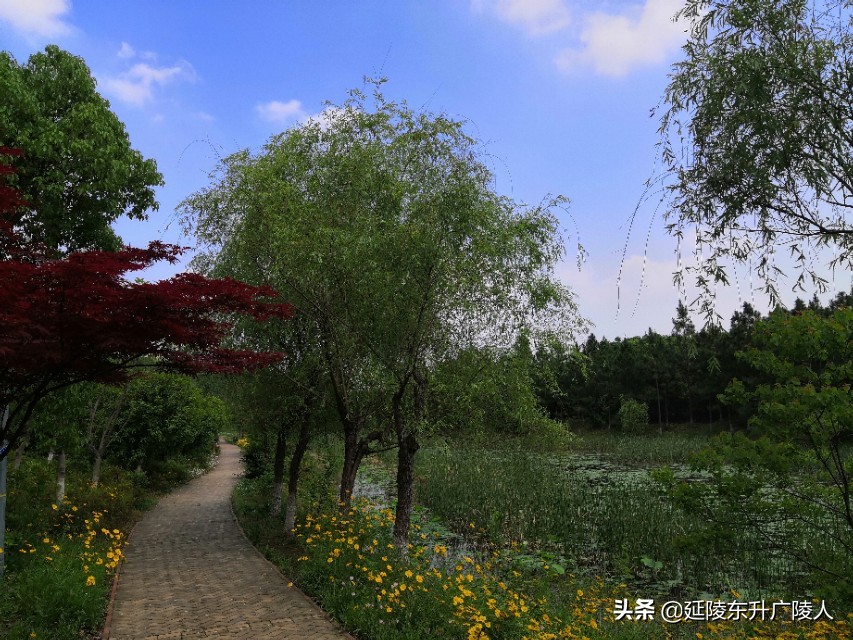 常州春江镇未来十年发展,常州春江镇居住区规划