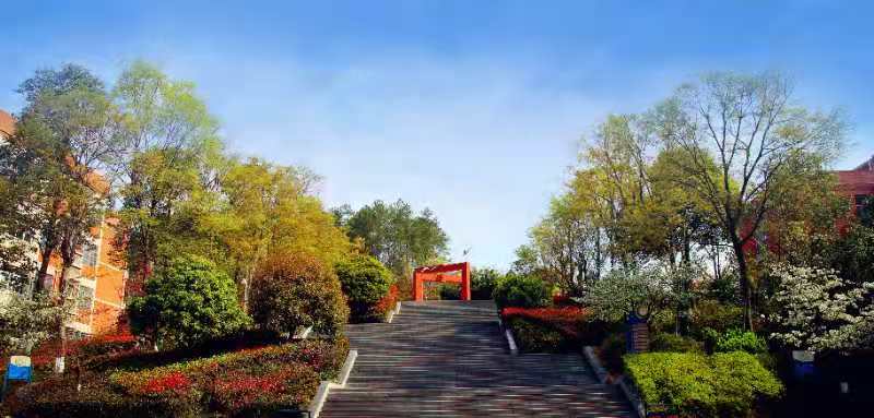 外国语里盛“国风”，这个“实验”既“好嗨”又雷人