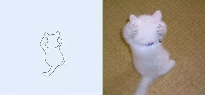 一波可爱动物简笔画,超火的简笔画动图