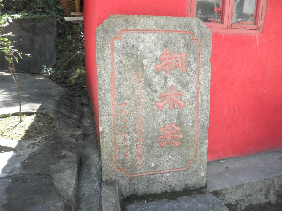 从业十年我所经历的火爆和低迷,茶行业真实揭露