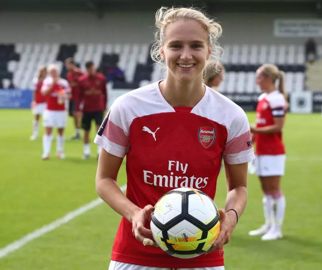 荷兰前锋范佩西2024,范佩西时期荷兰阵容