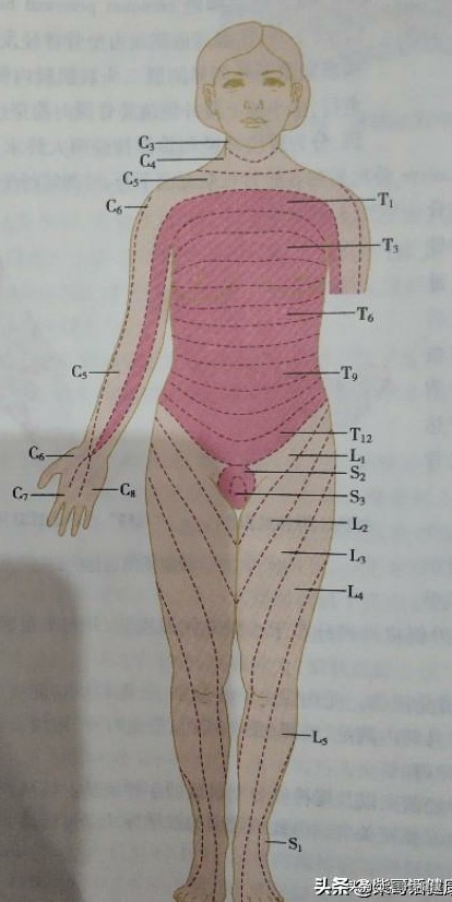 颈椎诊断,颈椎腰椎诊断怎么写