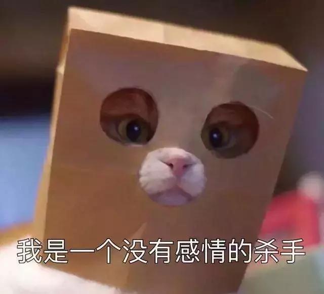 那些年失误的喵星人铲屎官已笑疯,喵星人的厉害行为报复铲屎官
