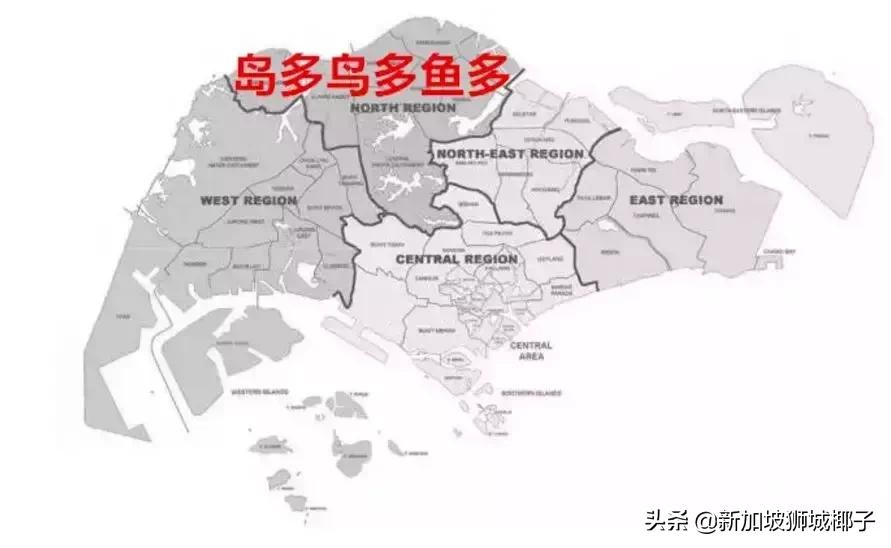 新加坡太小会不会很无聊,新加坡小岛攻略