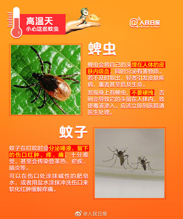 小天晨报丨10项涉车便民措施6月起全疆推行，伊宁小伙徒手接住5楼坠落男童