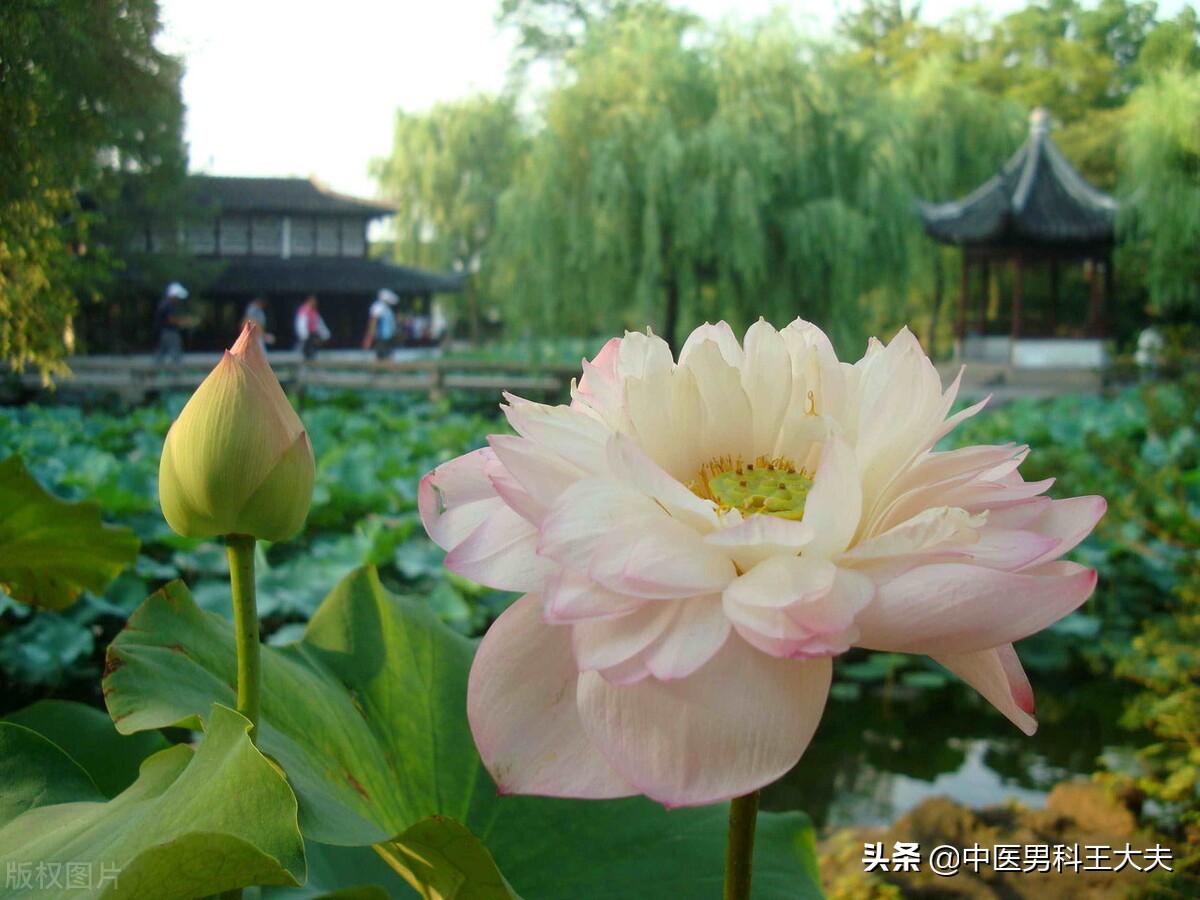 四肢酸软睡不着怎么处理,四肢酸软无力在中医是怎么回事