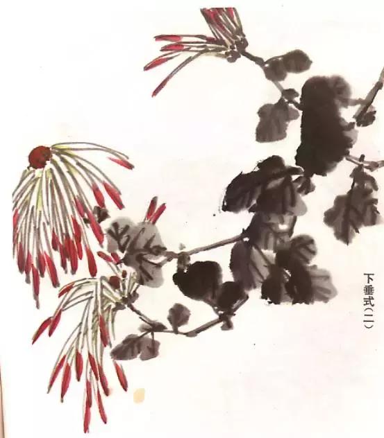 菊花国画入门简单教程,国画菊花画法技法教程