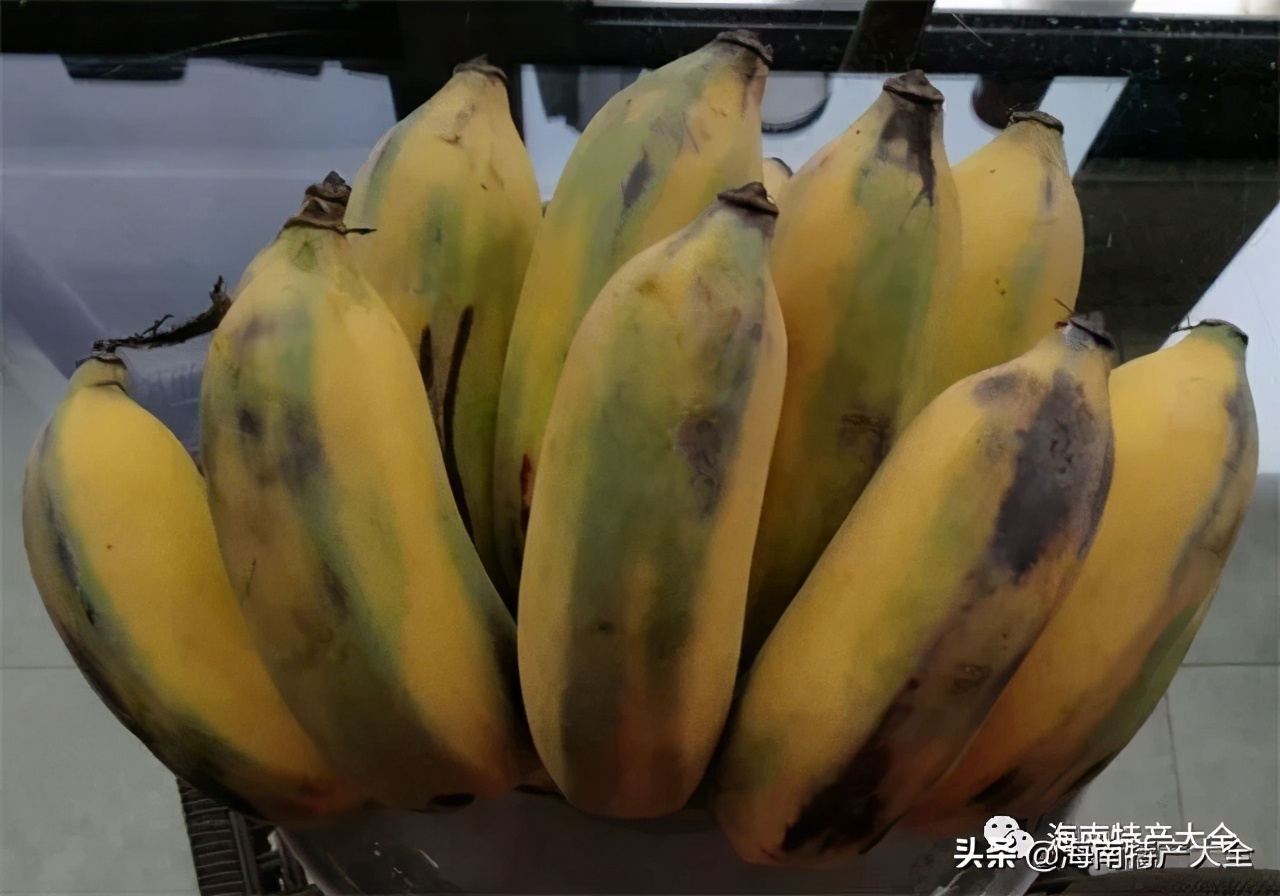 海南热带水果品种大全,海南热带水果园攻略