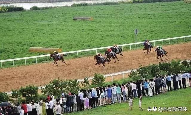 吸睛的二青会场馆，各个皆风景