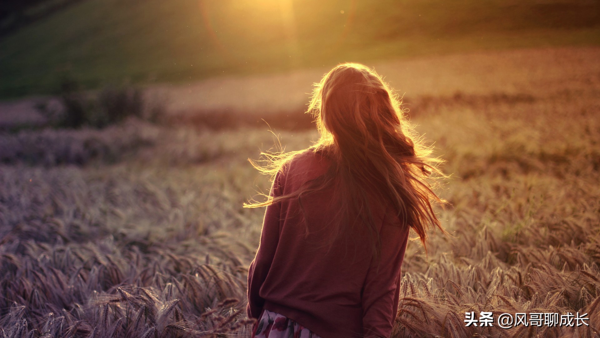 马云对刘强东事件看法,马云和刘强东说的第一句话