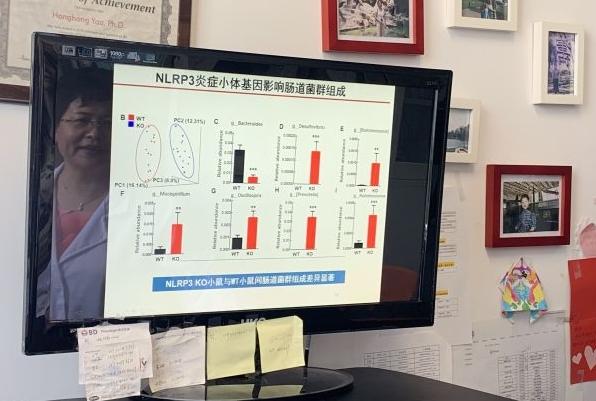 抑郁症的最新研究成功案例,抑郁症的最新研究成果