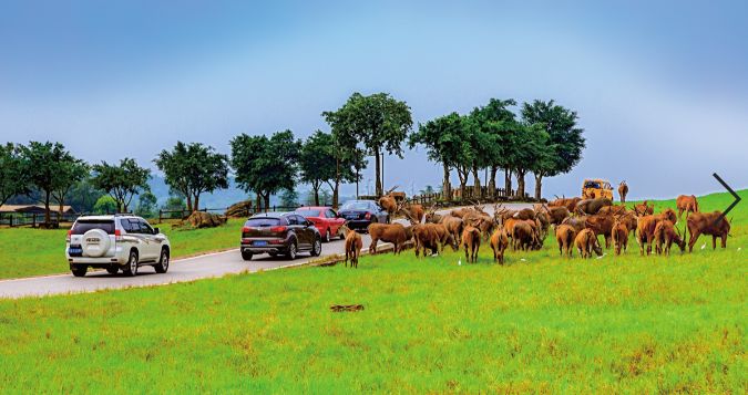 疫情后乐和乐都,疫情后的乐和乐都2020