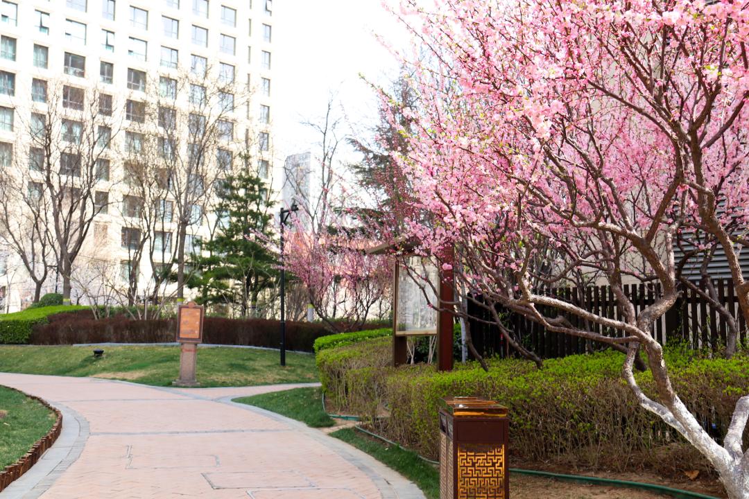 走在春天里简谱,歌曲走在春天里