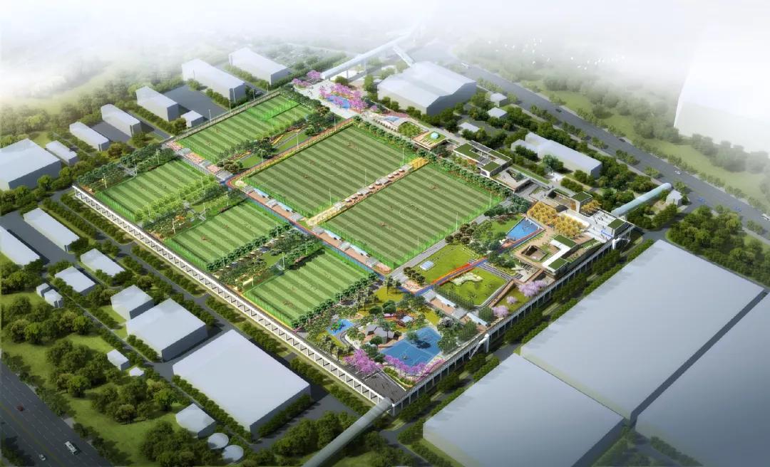 地上生态园林、地下再生水厂……福田区这座主题公园美不胜收！丨福田民生工程巡礼12