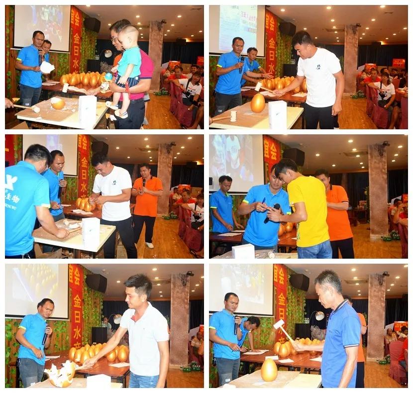 石斑鱼寄生虫类疾病防控技术,石斑鱼孢子虫最佳防治方法