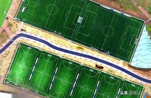 武汉获得世界级大奖,武汉汽车大奖多少