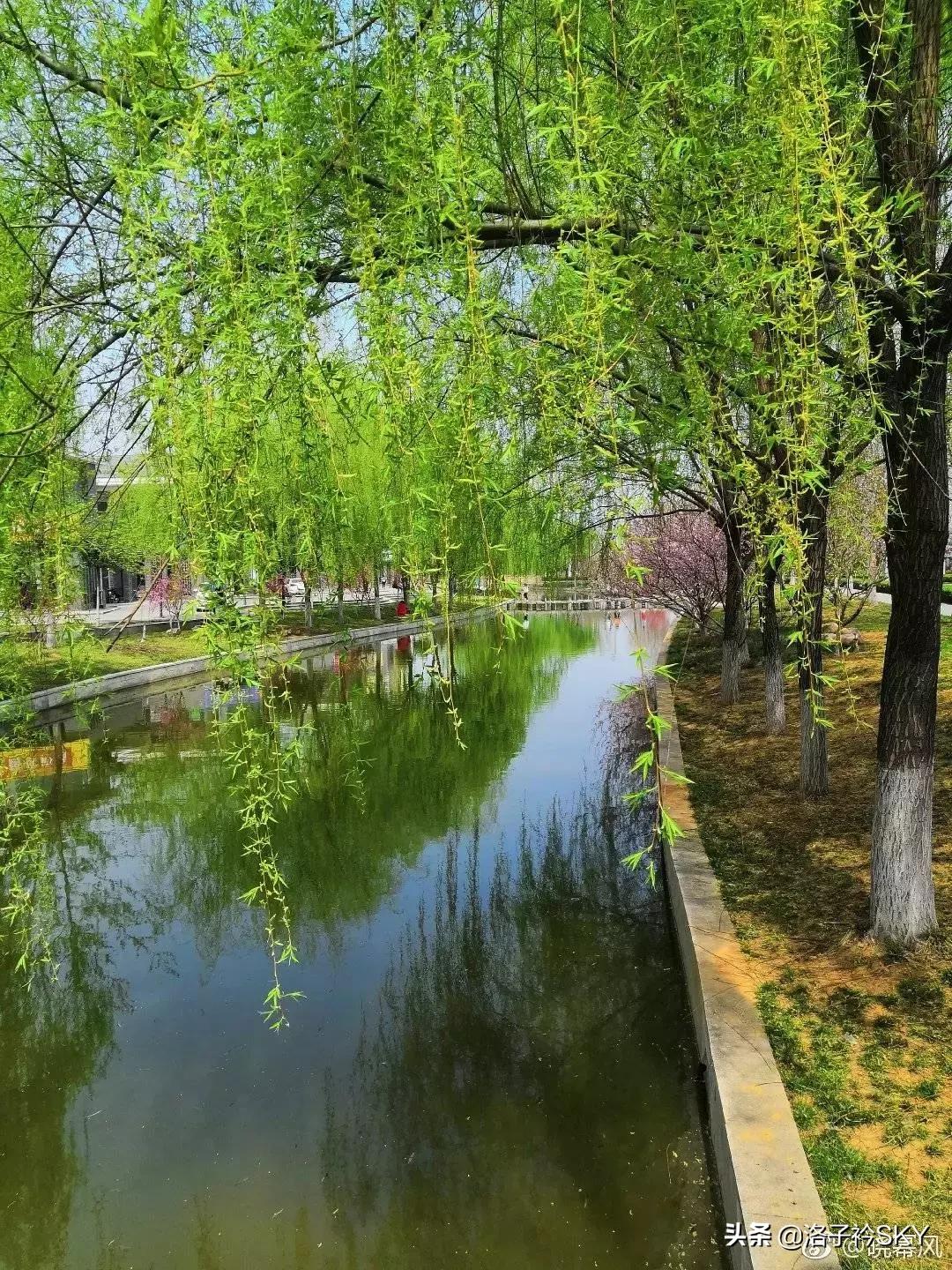 时间的女儿推理大师,时间的女儿约瑟芬铁伊